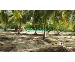 2 Acres Farm Land For Sale In Vembanur