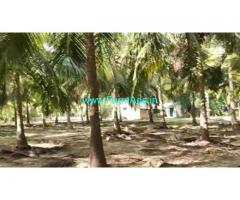2 Acres Farm Land For Sale In Vembanur
