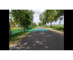 4 Acre Farm Land for Sale Near Mysore