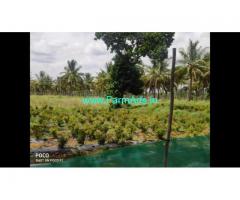 4 Acre Farm Land for Sale Near Mysore