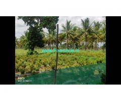 4 Acre Farm Land for Sale Near Mysore