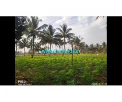 4 Acre Farm Land for Sale Near Mysore