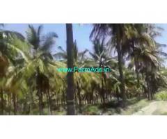 4 Acre Farm Land for Sale Near Kollegal
