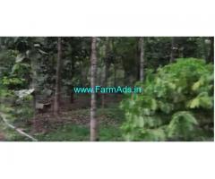 50.5 Cents Farm Land For Sale In Kuttichira