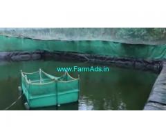 50.5 Cents Farm Land For Sale In Kuttichira