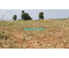 12 Acre Farm Land for Sale Near Mysore