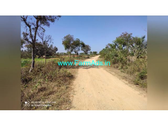 6 Acre Farm Land for Sale Near Malavalli 6 Acre Farm Land for Sale Near Malavalli