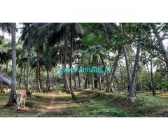28 Acres Coconuts farm with bungalow for Sale at Govindapuram
