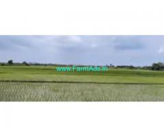 17 Acres Agriculture Land sale in Kadapakam