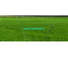 6 Acres Farm Land Sale in Chennai