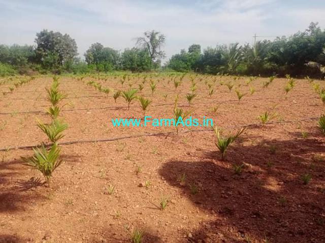 2.29 Acres Farm Land for Sale at Adiralu 2.29 Acres Farm Land for Sale at Adiralu