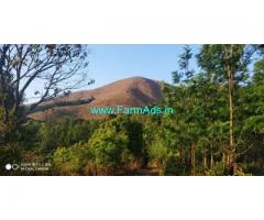4.35 Acres Newly Planted Arabica Coffee Estate Sale near Bababudangiri
