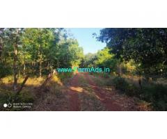 4.35 Acres Newly Planted Arabica Coffee Estate Sale near Bababudangiri