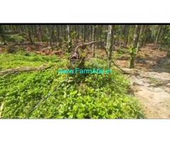 1.30 Acres Beautiful Paakku Thoppu Sale at Agali