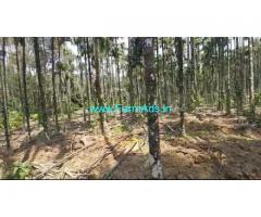 1.30 Acres Beautiful Paakku Thoppu Sale at Agali