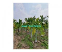3 Acres Areca nut Plantation for Sale near Ayanur