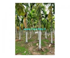 3 Acres Areca nut Plantation for Sale near Ayanur