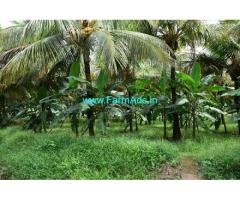10.45 Acres Coconut Farm Sale At Aanamalai