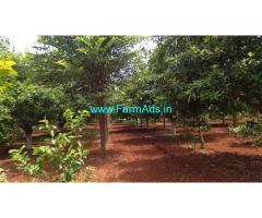 Farm Land for sale 12 Acres at Bhongir