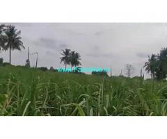 15 Acre Agriculture Land Sale In Tindivanam