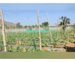 8.5 Acre Farm Land for Sale Near Malavalli