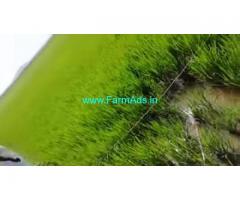 4.13 Acres Agriculture Land Sale Near Chennai