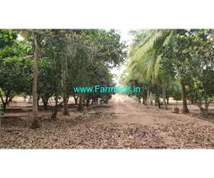 13.5 Acres Farm Land Sale in Melmaruvathur