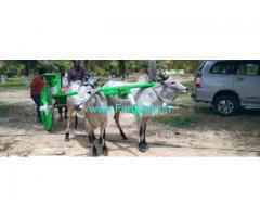 21.5 Acres Farm House Sale In Udumalaipettai