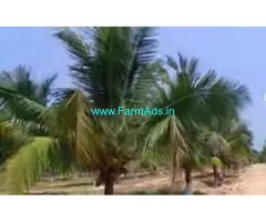 21.5 Acres Farm House Sale In Udumalaipettai
