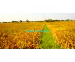 21 Acres Agriculture Land sale In Perambur