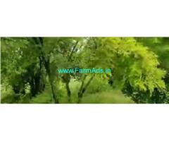 50 Cent Farm Land Sale In Chennai
