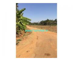 33 guntas farm land for sale in Doddabelavangala hobli
