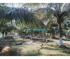 3.2 Acre Farm Land for Sale near Ambarampalayam area