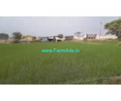 3 Acres Agriculture Land  For Sale In Rajapur Mandal