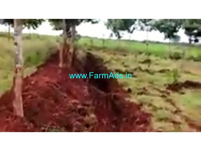 2.07 Acres Agriculture Land  For Sale In Turuvekere 2.07 Acres Agriculture Land  For Sale In Turuvekere