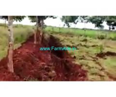 2.07 Acres Agriculture Land  For Sale In Turuvekere