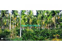 7 Acres Coffee Farm land for sale in Chikmagalur