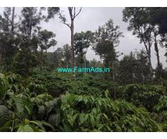 17 Acre coffee estate for sale in Mudigere
