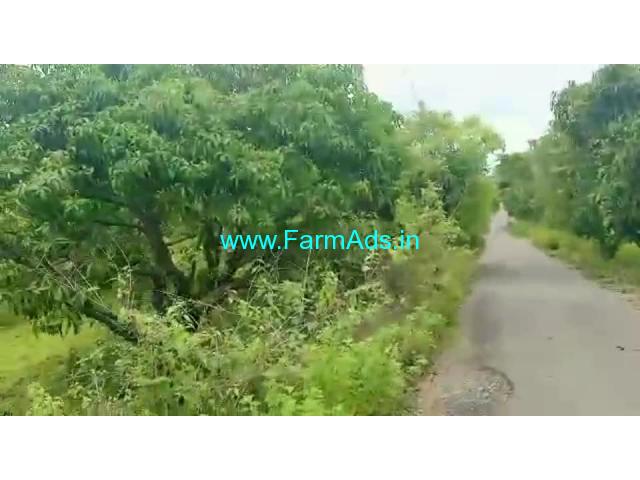 25 Acres Mango Farm Land for Sale at Kadhrolli 25 Acres Mango Farm Land for Sale at Kadhrolli
