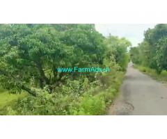 25 Acres Mango Farm Land for Sale at Kadhrolli