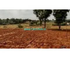 2 Acres Agriculture Land  For Sale In Sasalu