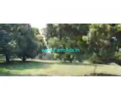22 Acres Mango Farm Land  For Sale In Kurnool