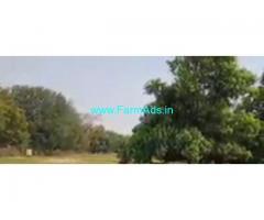 22 Acres Mango Farm Land  For Sale In Kurnool