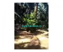 53 Acres Farm Land For Sale In Sitanagaram