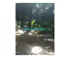 53 Acres Farm Land For Sale In Sitanagaram