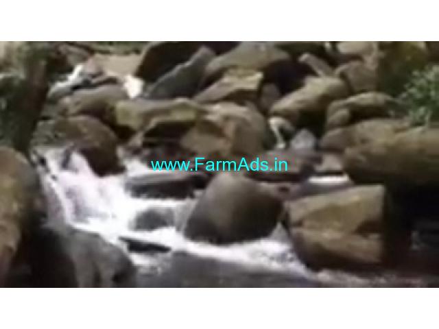 71 Acres Farm Land  For Sale In Chikmagalur 71 Acres Farm Land  For Sale In Chikmagalur