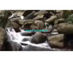 71 Acres Farm Land  For Sale In Chikmagalur