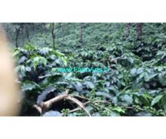 71 Acres Farm Land  For Sale In Chikmagalur 71 Acres Farm Land  For Sale In Chikmagalur