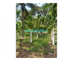 10 acre areca nut Farm for Sale near Shimoga