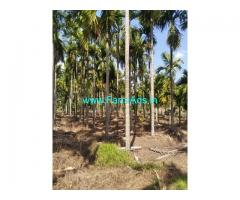 10 acre areca nut Farm for Sale near Shimoga